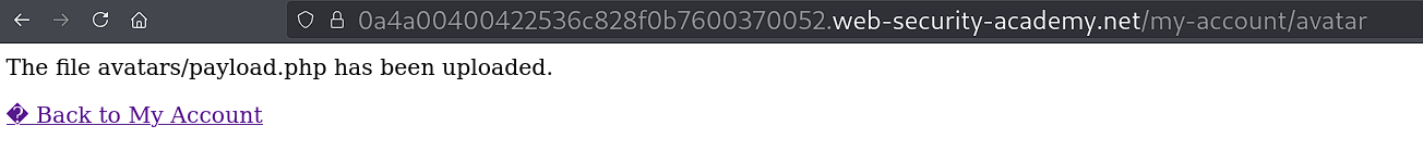 Upload confirmation message indicating successful file upload to server
