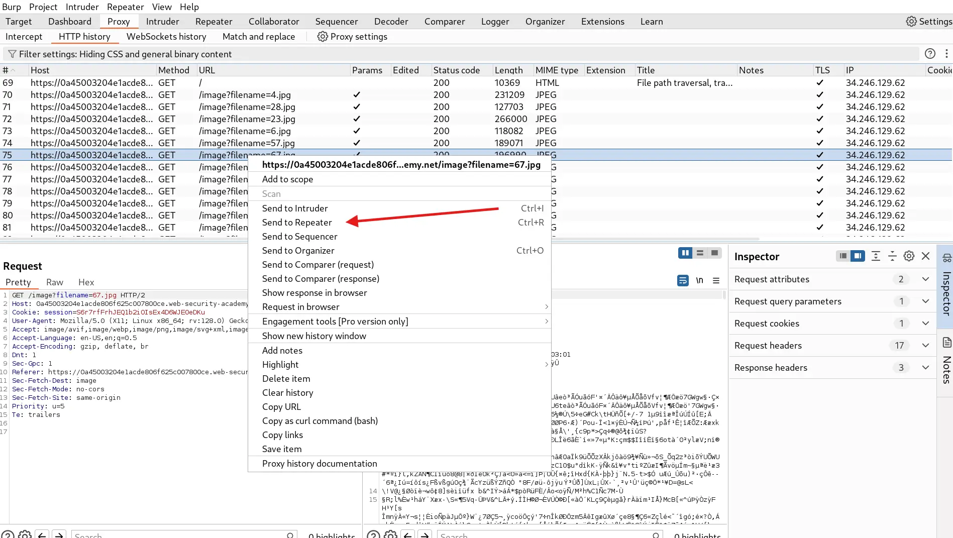 Sending image request to Repeater Tab in BurpSuite