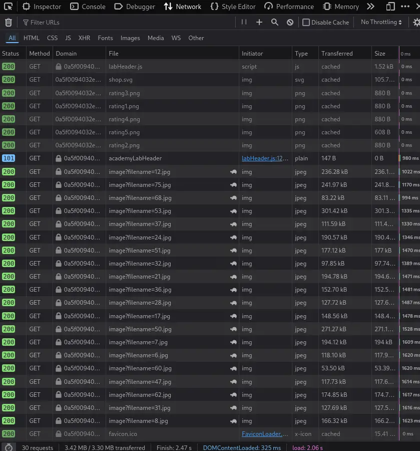 Developer tools showing image requests in the network tab