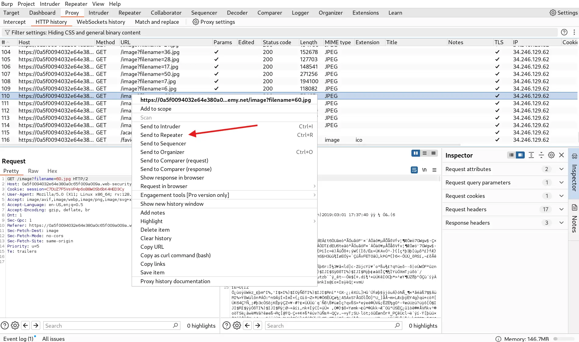 Sending image request to Repeater Tab in BurpSuite