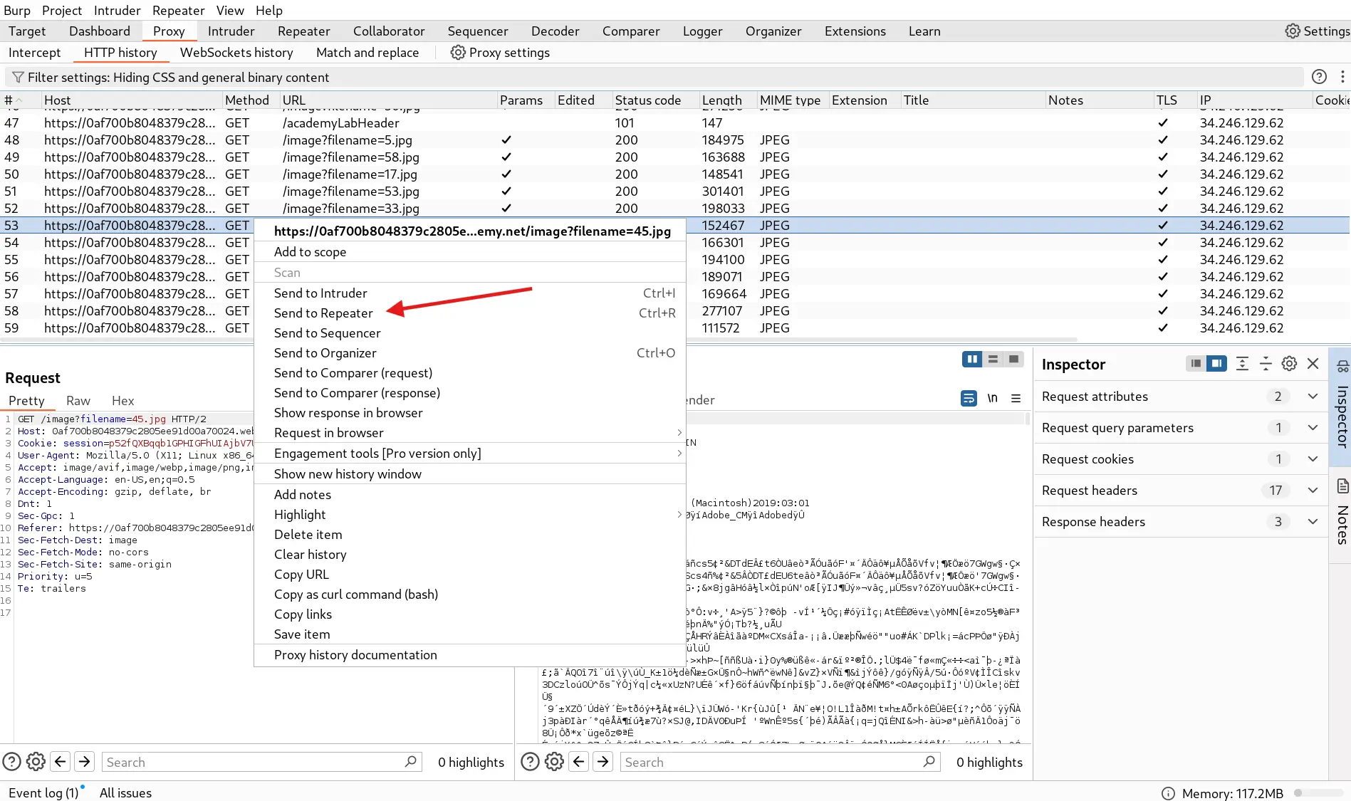 Sending image request to Repeater Tab in BurpSuite