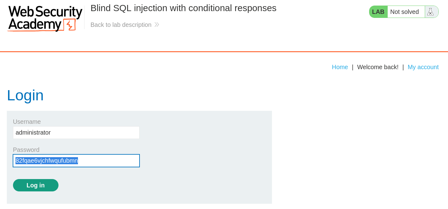 Successful administrator login using extracted password credentials