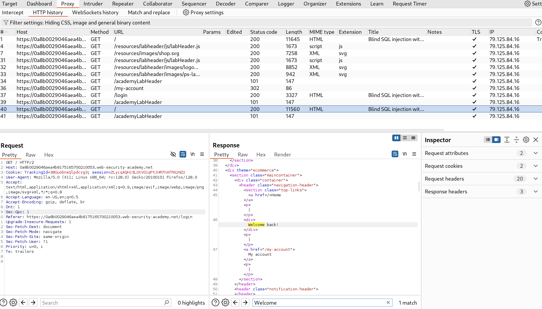 Testing Blind SQLi with payload in BurpSuite Repeater