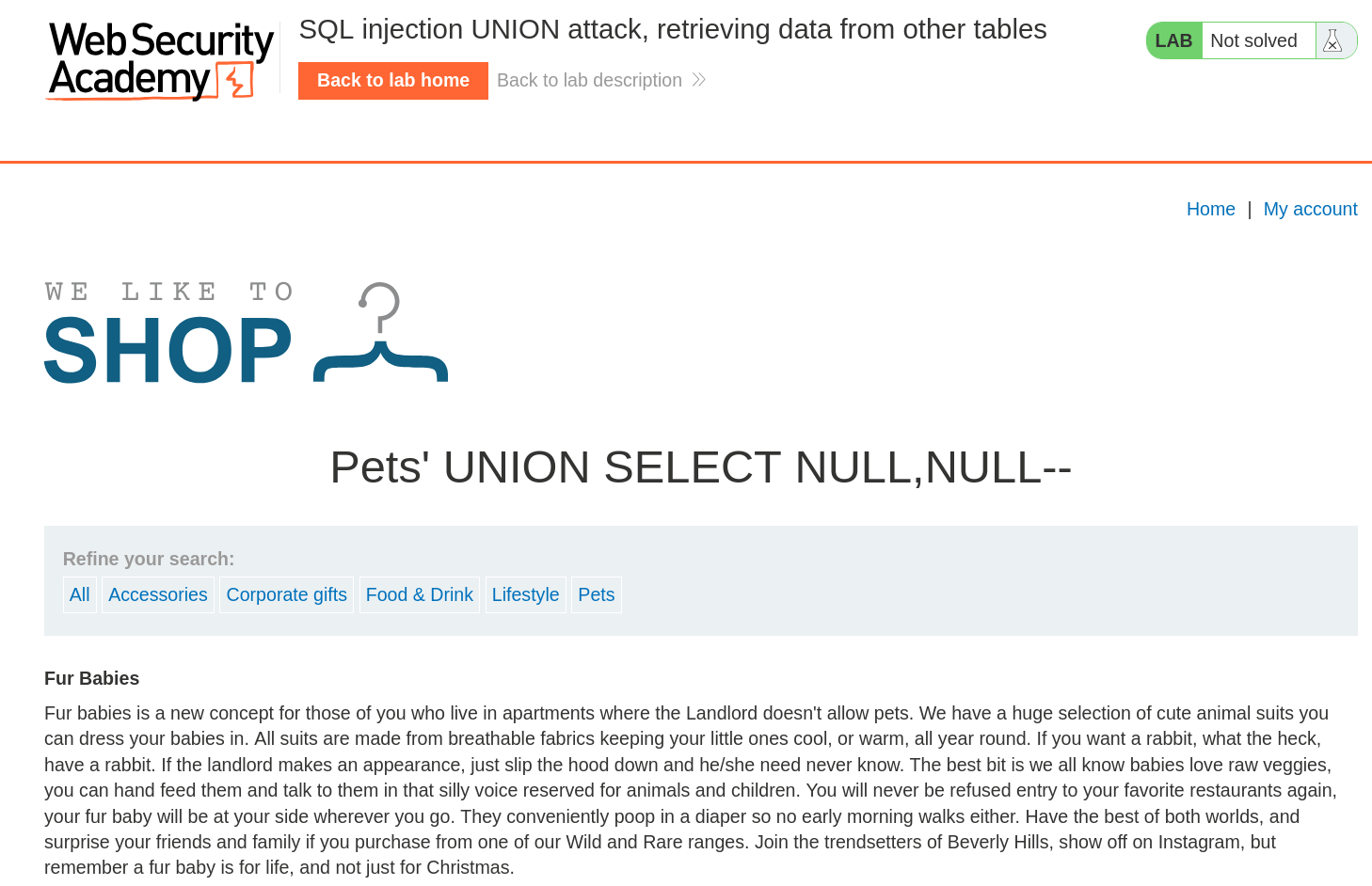Successful SQL injection using UNION SELECT NULL,NULL showing column structure