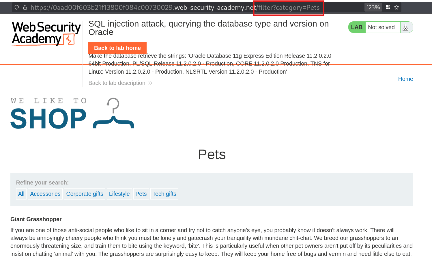 Filter parameter visible in URL indicating injection point