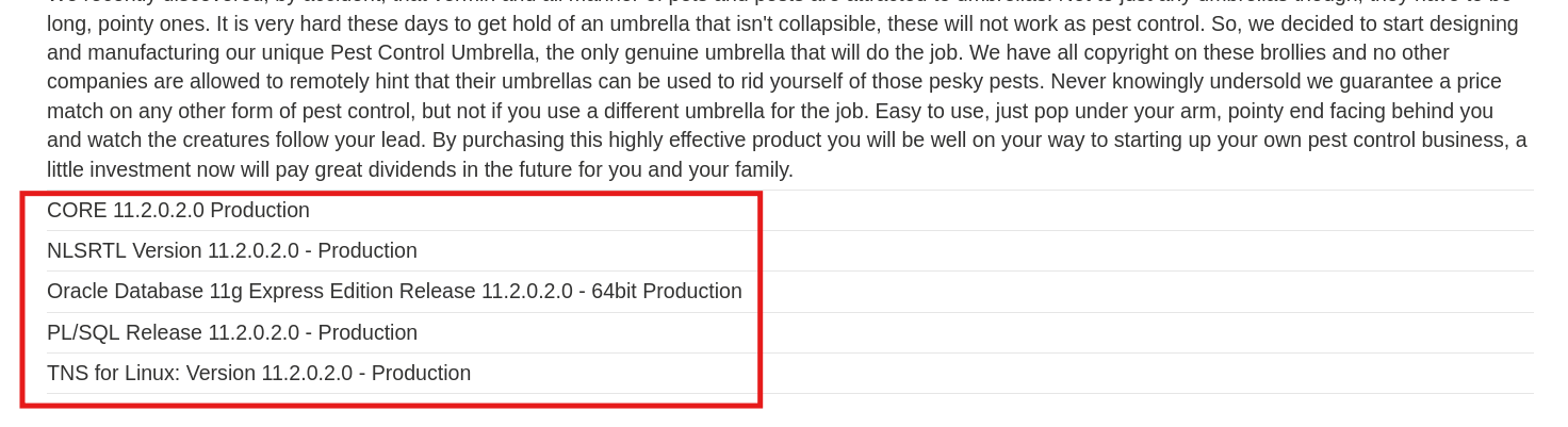 Database version details displayed in web page confirming injection success