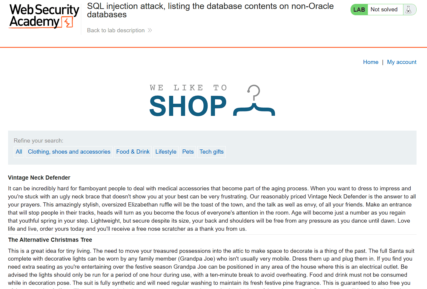 Homepage of vulnerable shopping site with product categories and filters